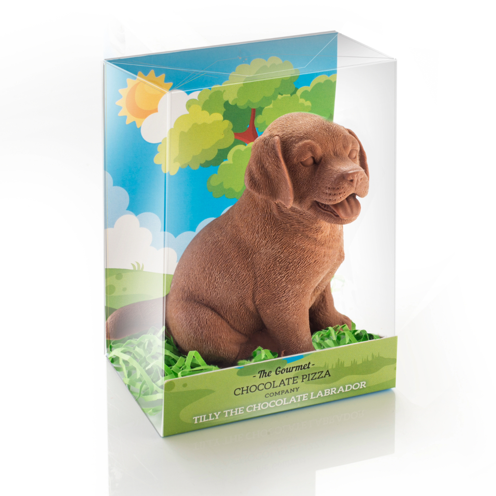 Chocolate labrador presented in clear plastic box with a sunny background and a bed of shredded green paper grass.